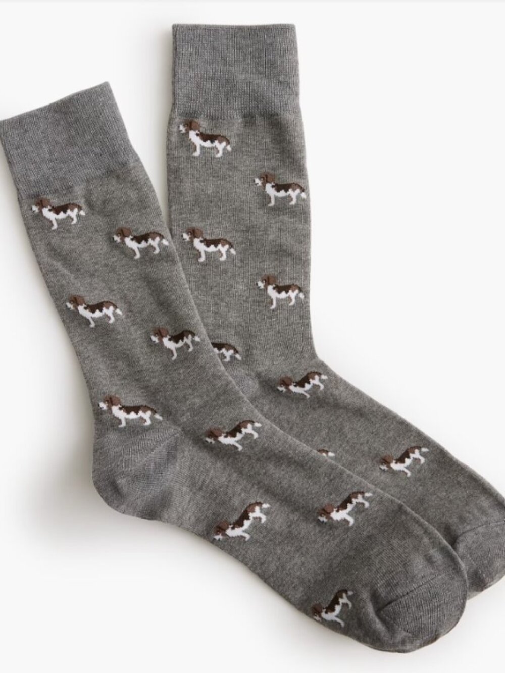 J.Crew Factory dog Socks NWT